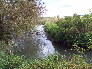 A stream along the trail